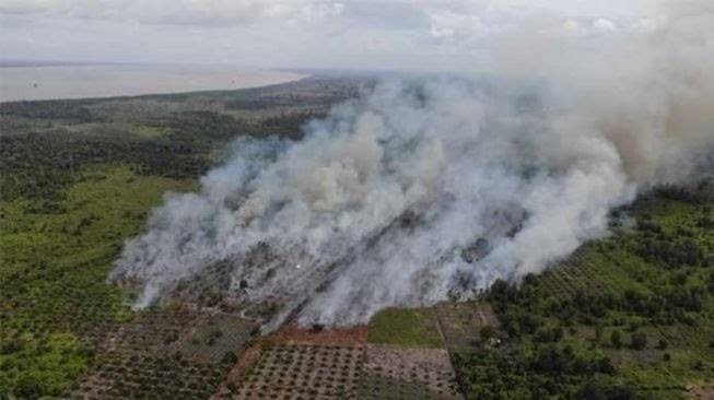 Ilustrasi hotspot di Riau terus turun akibat diguyur hujan (foto/int)